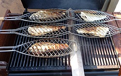 Grillet fisk tilbehør